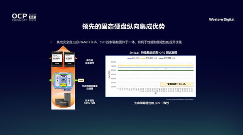 西部数据以创新存储架构，引领数据处理与存储服务新纪元